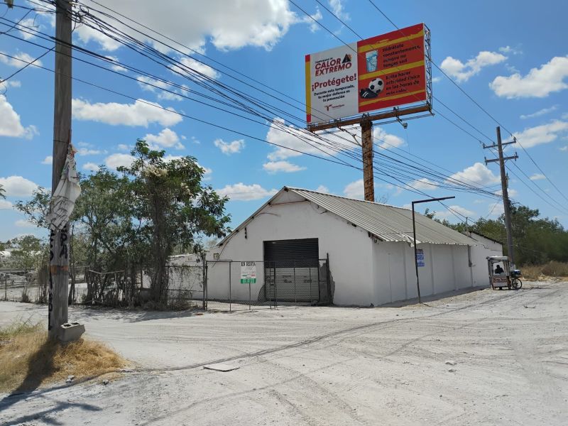 Bodega 