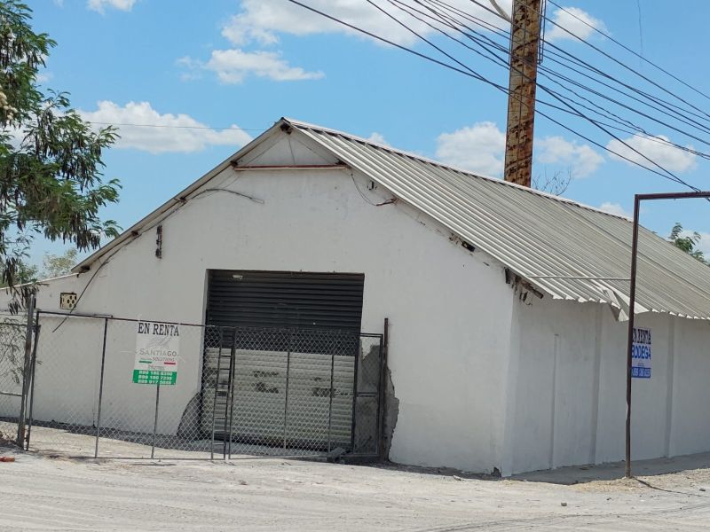 Bodega 