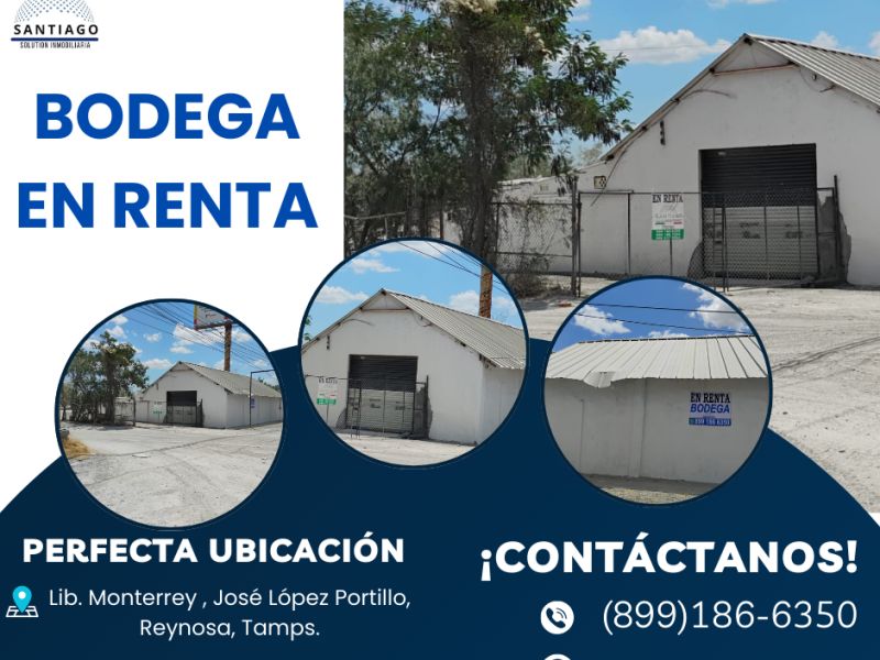 Bodega 